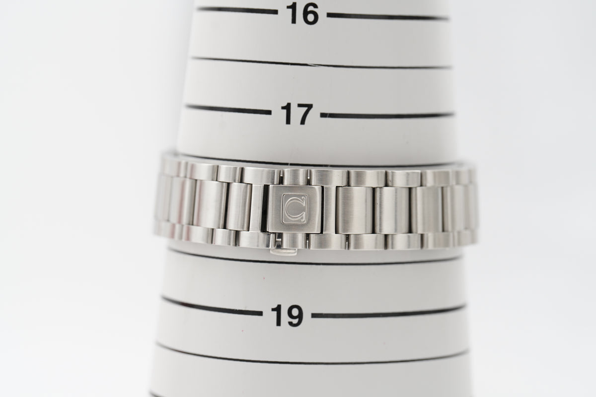 Omega Seamaster Aqua Terra Co-Axial 2504.30 Silber Box 2007